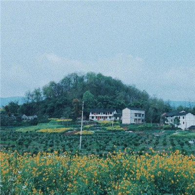 微信头像阳光温暖儿童 4