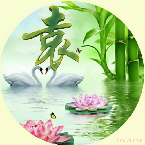 姓氏张女生头像图片大全 7