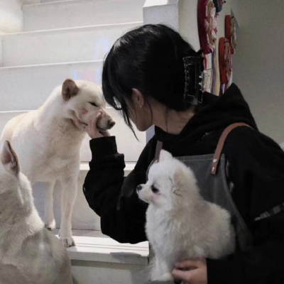 旧版qq经典系统头像 7