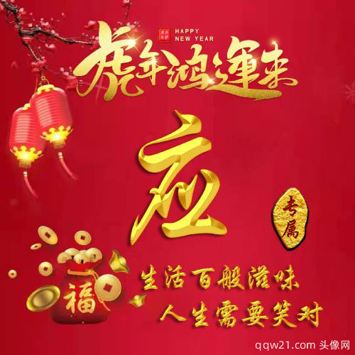 新年红色姓氏头像图片 1