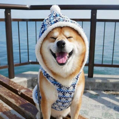 柴犬可爱头像 4