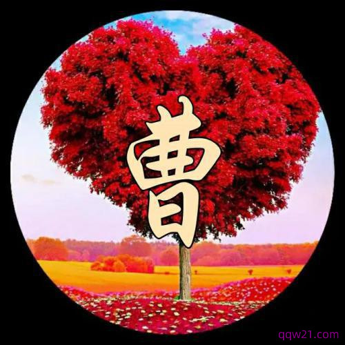 用姓氏做微信头像 1