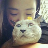 仰望思念的网名