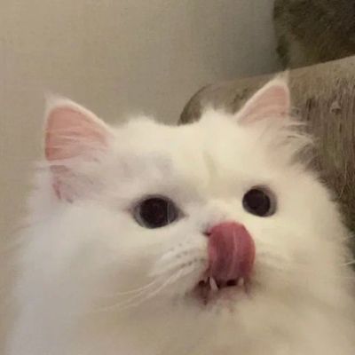 怎么查看微信用过的头像 3