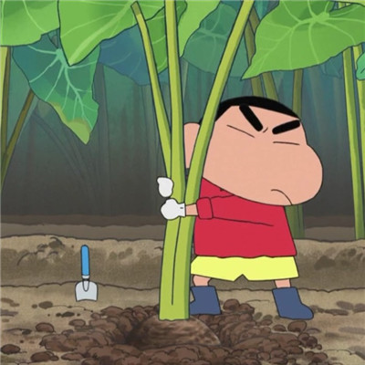 透明头像在线