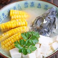 月见黑搭配头像 1