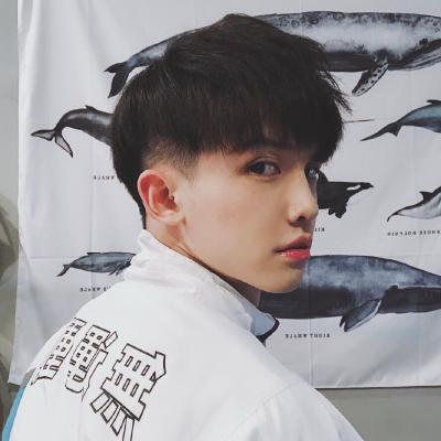 成熟中年男微信头像 5