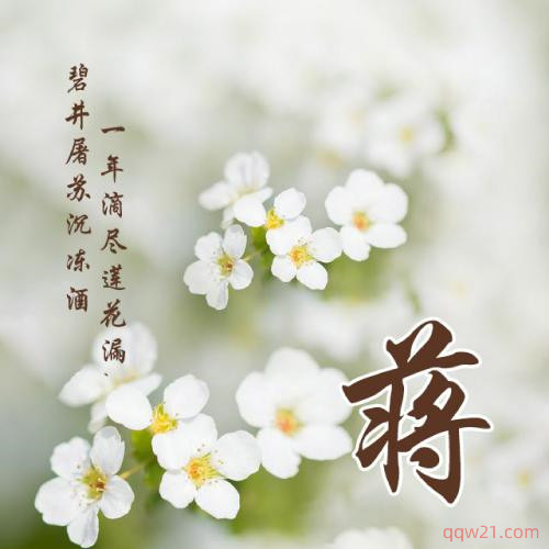 会动的微信头像 4