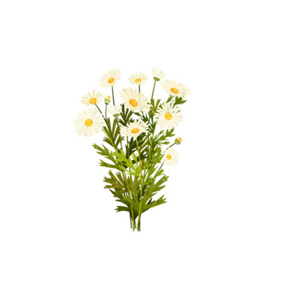 头像图片大全唯美鲜花 5
