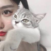 怪头像图片猫 3