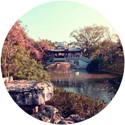 好看的圆形头像图片大全 4