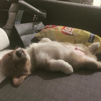 暴富微信头像 3