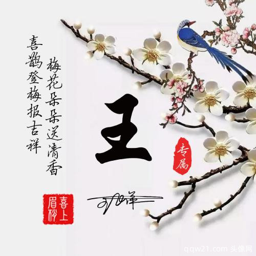 2023姓氏头像申字 9