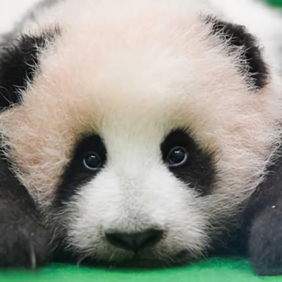 微信头像下的个性签名怎么显示 5