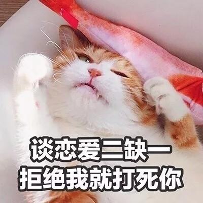 汤姆猫头像带文字 1