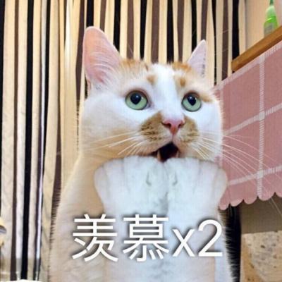 汤姆猫头像带文字 3