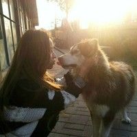 女生头像ins高级质感狗狗