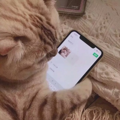 2023孙字微信头像 7