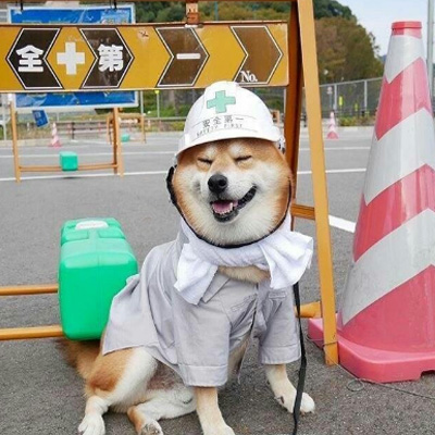 柴犬可爱头像 9