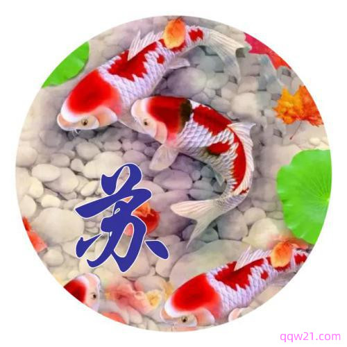 微信朋友圈头像下文字怎么写 6