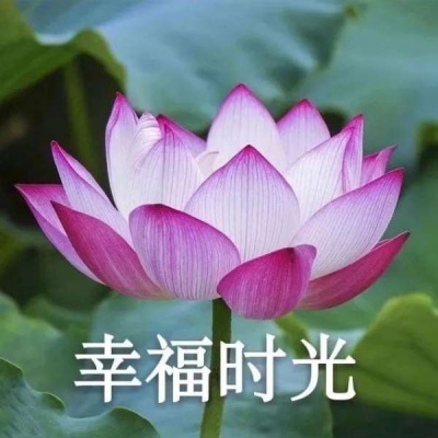 蜡笔沙雕小新头像 6