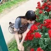 高级感头像玫瑰 5