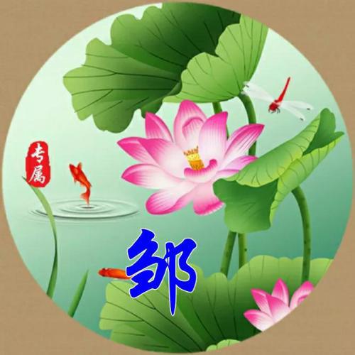 新年姓氏头像2023免费 3