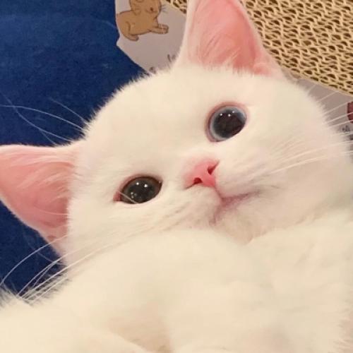 超好看的头像 2
