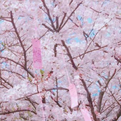 风景微信图片大全头像 4