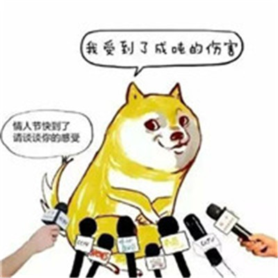 单身狗图片头像 7