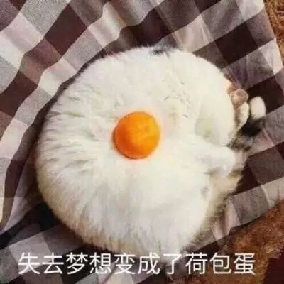 抖音搞笑头像图片大全 7