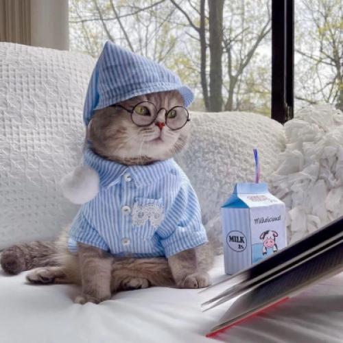 汤姆猫正常经典头像 4