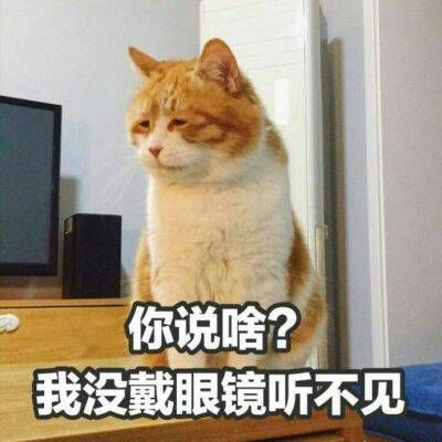 微信搞笑头像图片 4
