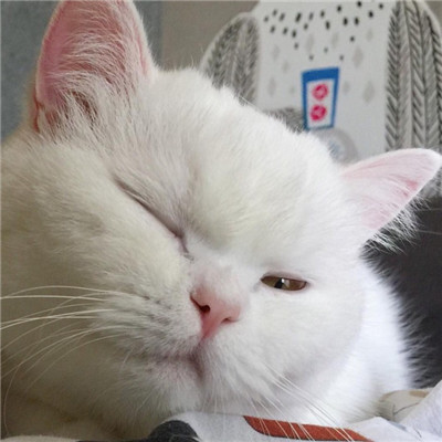 姓名微信头像图片大全 2
