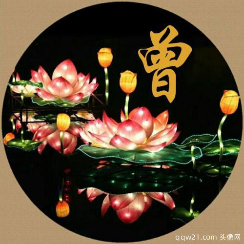 新年姓氏头像2023女生刘 5