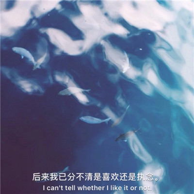 文字头像图片大全风景 4