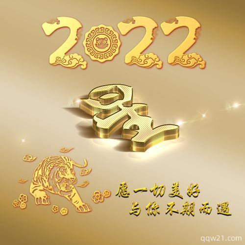 冰墩墩微信头像姓氏 4