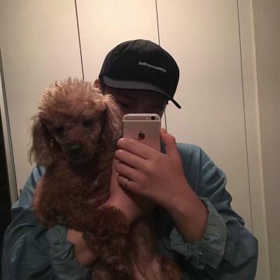 个性头像宠物 5