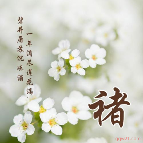 新年头像女2023姓氏黄 6