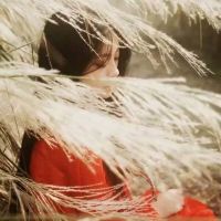 诗意淡雅古风头像 3
