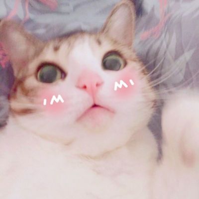 高清动物头像图片大全 3