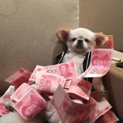 抖音沙雕头像 3