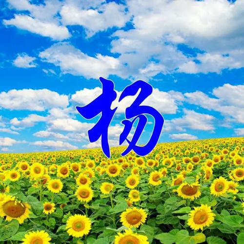 自己怎么在手机上做姓氏头像 8