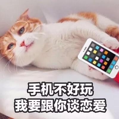 汤姆猫头像带文字