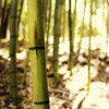 头像 换背景色 7