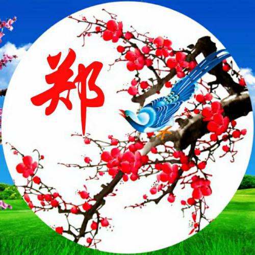 2023年好运微信头像大海 4