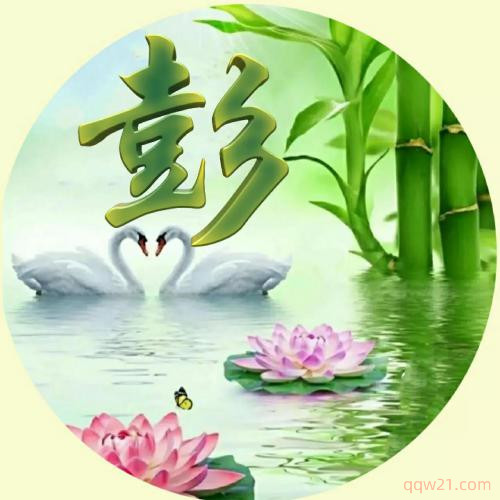 2023虎年姓氏头像闫 5