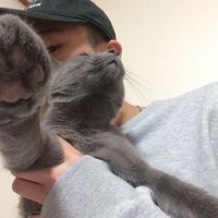 qq头像男生带字伤感 4