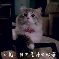 网名文案可爱沙雕男生