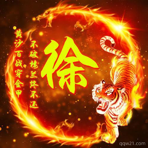 王姓氏微信头像男士专用 1